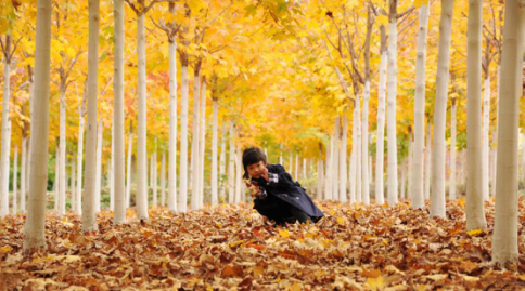 恭賀燕園農業成為中國風景園林網理事單位