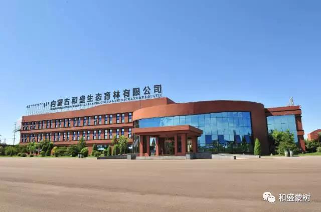 2017年和盛蒙樹關鍵崗位招聘