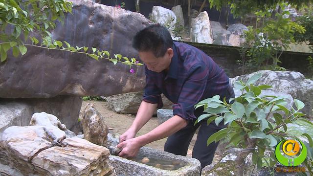 農民藏石家將華安玉帶進北京園林博覽會