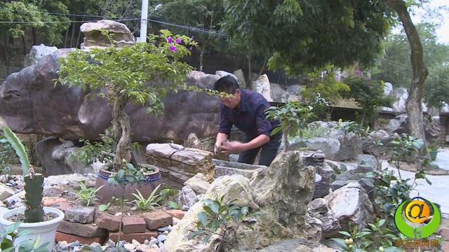 農民藏石家將華安玉帶進北京園林博覽會