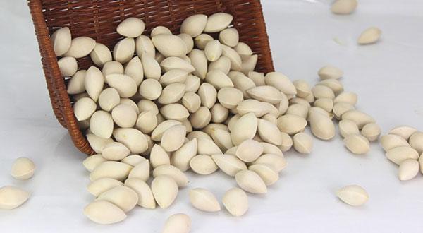 植物界的活化石也是餐桌上的美味