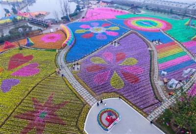 花卉種植園變身風車海洋 