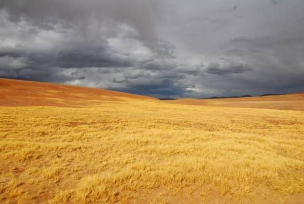 野生動植物的天堂——羌塘