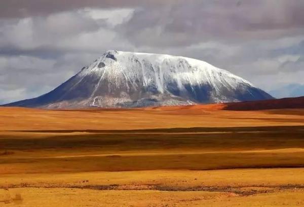 野生動植物的天堂——羌塘