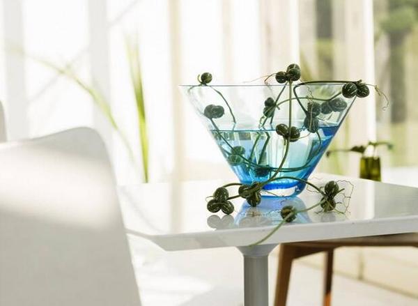 室內花卉養護竅門