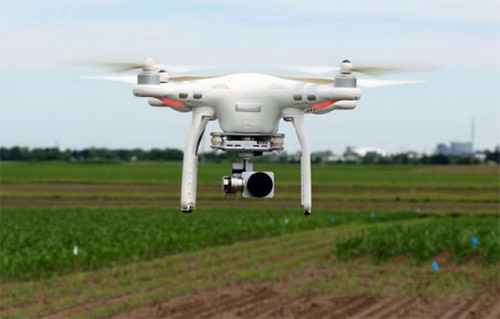 無人機開創(chuàng)新領域 受植物育種學家青睞