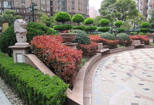 園林中不可或缺的存在——綠籬