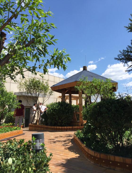 北大國際醫院屋頂綠化新工藝的探索