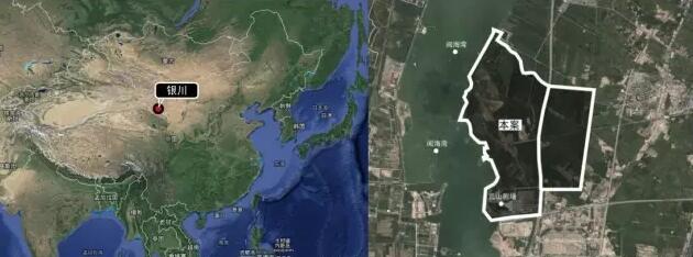 綠博回鄉 絲路明珠——銀川?綠博園