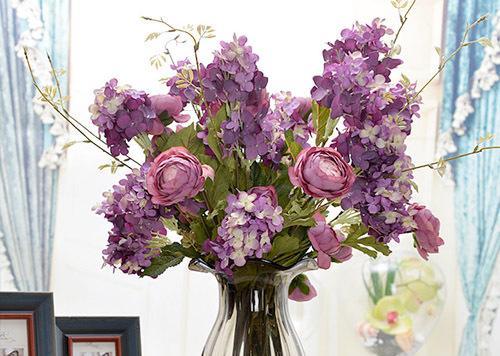 春季室內(nèi)常見花卉養(yǎng)護(hù)指南