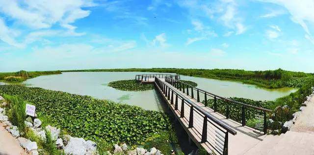 我國園林行業(yè)未來發(fā)展五大趨勢