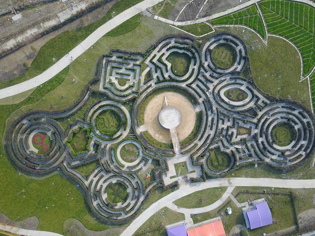 浙江省內最大植物迷宮3月9日對外開放