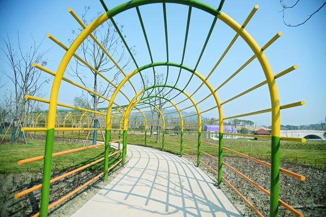 浙江省內最大植物迷宮3月9日對外開放