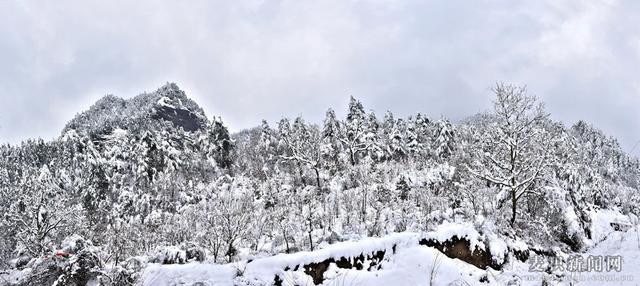 麥積山植物園春雪圖
