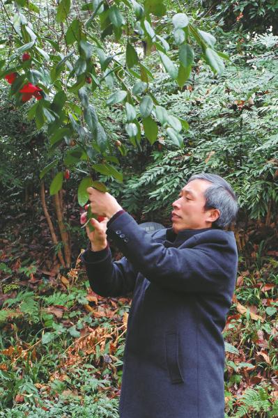 從農民到植物專家 峨眉山有個植物“活地圖”