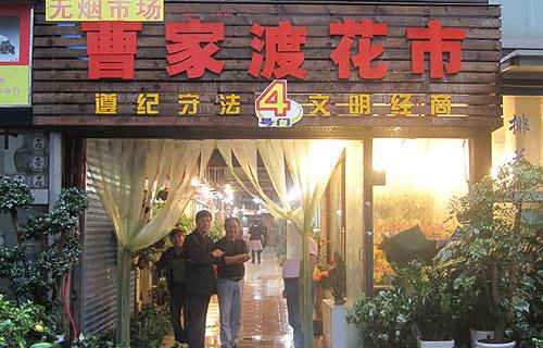 花木行情：上海花市“小而精”特點鮮明