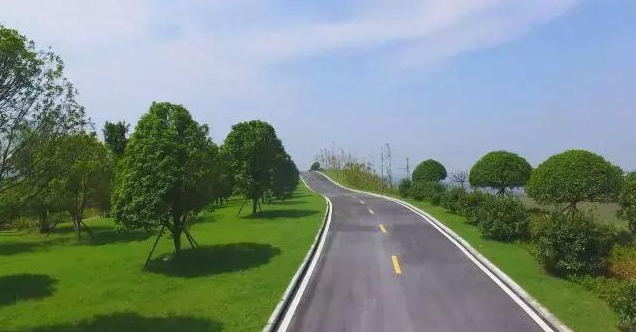 株洲十萬畝荒山變園林，將打造成5A景區