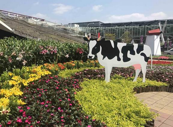 4月連假逛春季花卉展 臺北花市打造“小荷蘭”