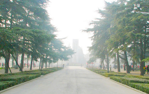 開啟園林植保高工效時代——城市園林植保用藥的革新