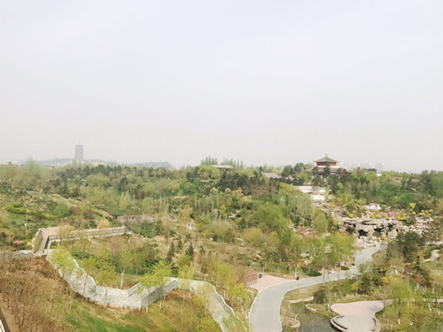 與大師同行 北京精品園林考察活動圓滿結束