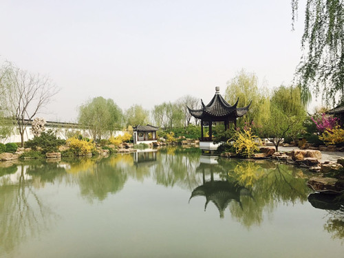 與大師同行 北京精品園林考察活動圓滿結束