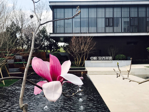 與大師同行 北京精品園林考察活動圓滿結束