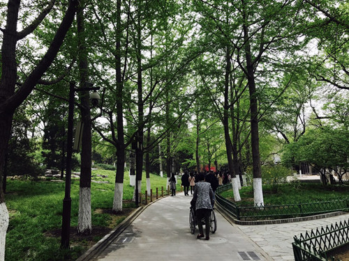 與大師同行 北京精品園林考察活動圓滿結束