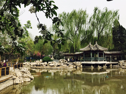 與大師同行 北京精品園林考察活動圓滿結束