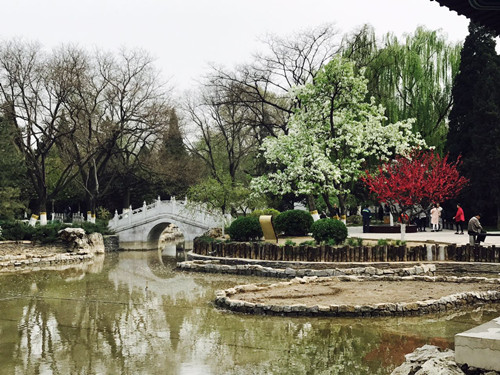 與大師同行 北京精品園林考察活動圓滿結束