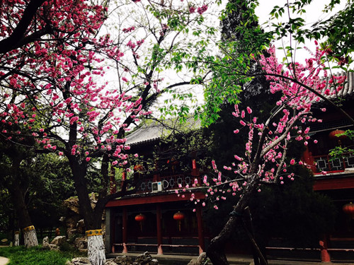 與大師同行 北京精品園林考察活動圓滿結束