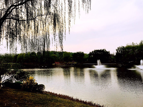 與大師同行 北京精品園林考察活動圓滿結束