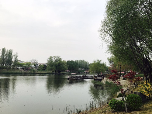 與大師同行 北京精品園林考察活動圓滿結束