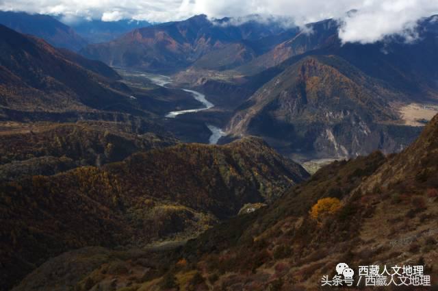 影像捕捉世界最大峽谷的生物多樣性