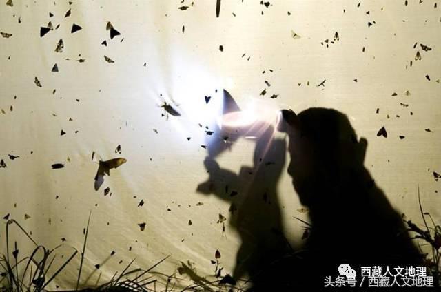 影像捕捉世界最大峽谷的生物多樣性