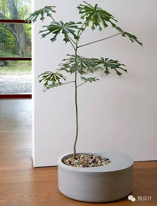 各式各樣的景觀細(xì)節(jié)設(shè)計(jì)欣賞