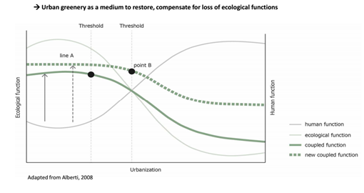 海綿城市與水生態(tài)水景觀國際論壇Tan Puay Yok教授演講實錄