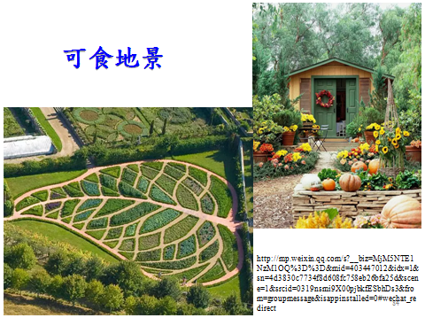 亞洲園林教育論壇張育森主任演講實錄