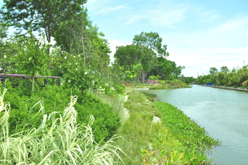 綠色城市與新型城鎮(zhèn)化國(guó)際論壇蔡福祥演講實(shí)錄