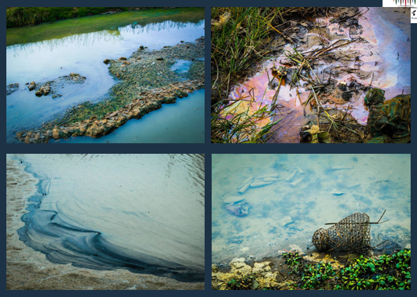 亞洲園林教育論壇寥秋林教授演講實錄
