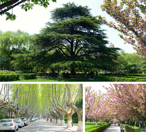 BJF(寶佳豐)國際設(shè)計與西安高校校企聯(lián)動輪番推進