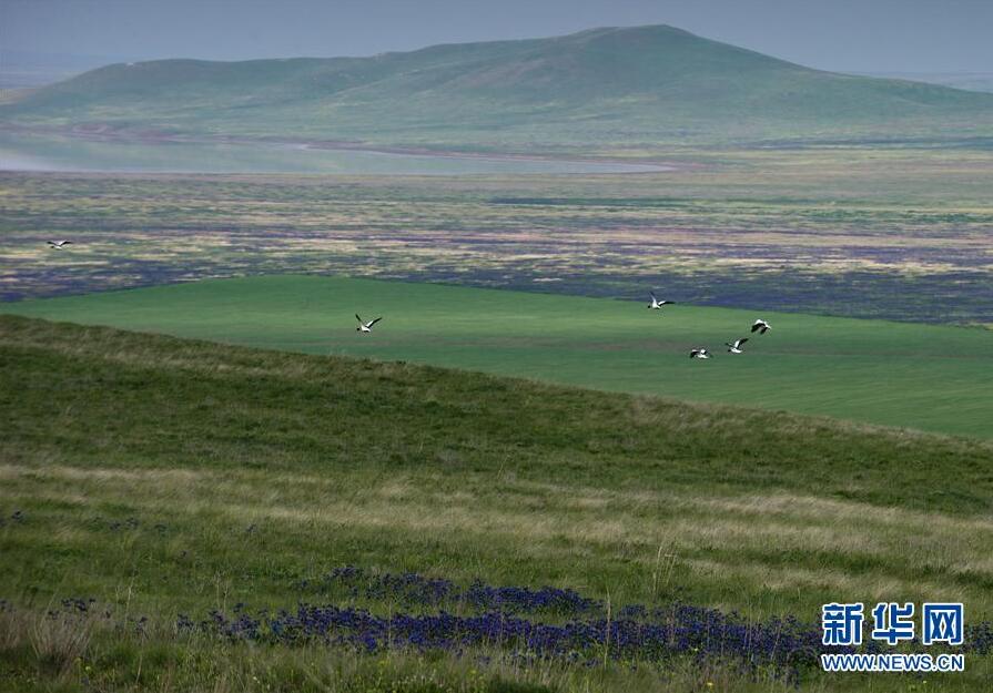 克里米亞奧普克斯基自然保護區(qū)自然風光