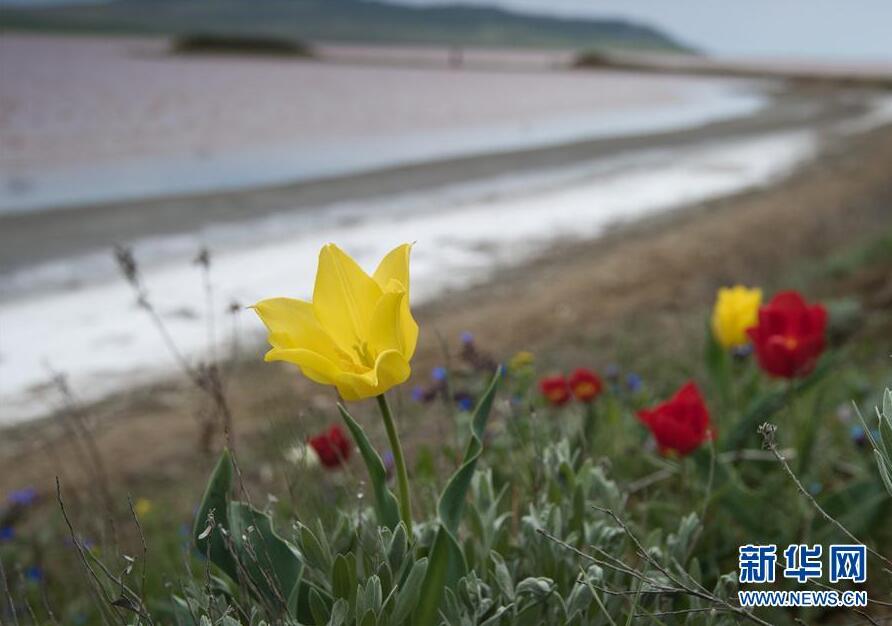 克里米亞奧普克斯基自然保護區(qū)自然風光