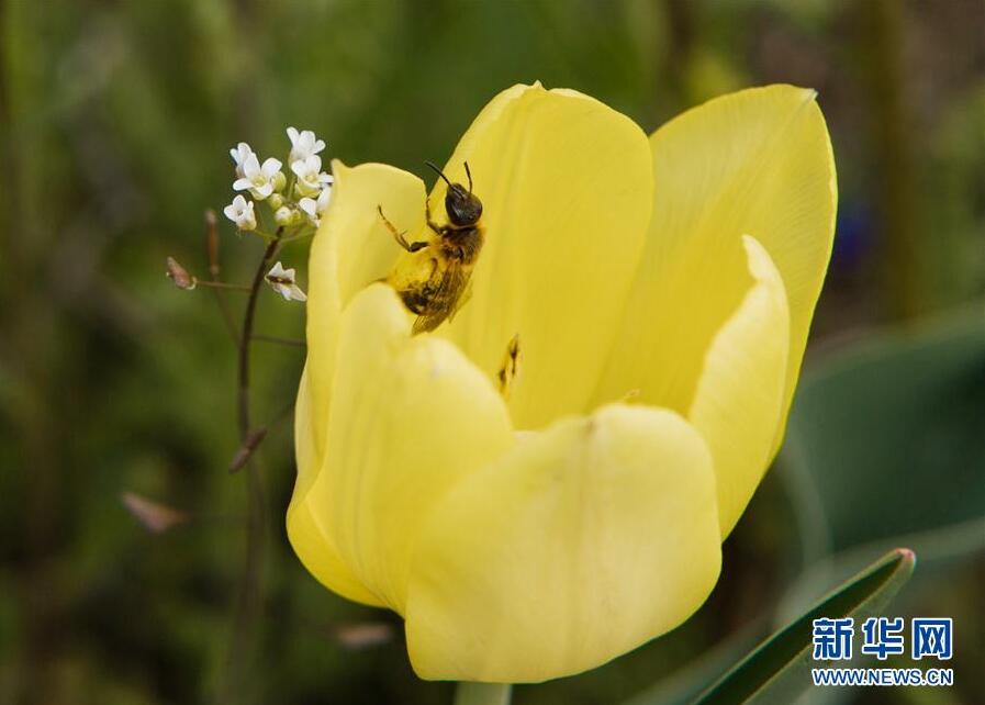 克里米亞奧普克斯基自然保護區(qū)自然風光