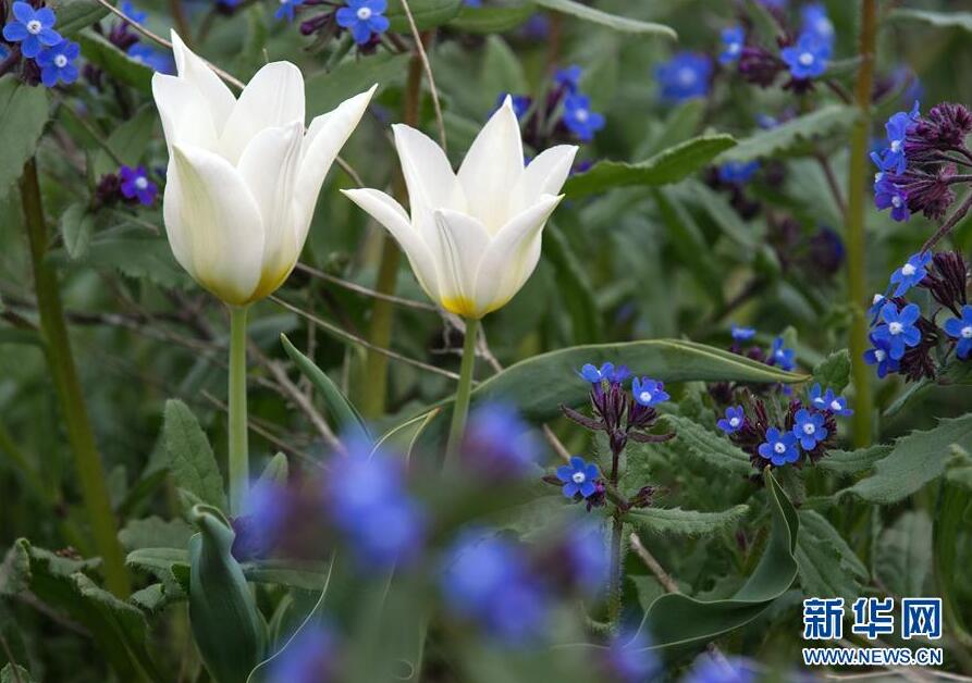 克里米亞奧普克斯基自然保護區(qū)自然風光