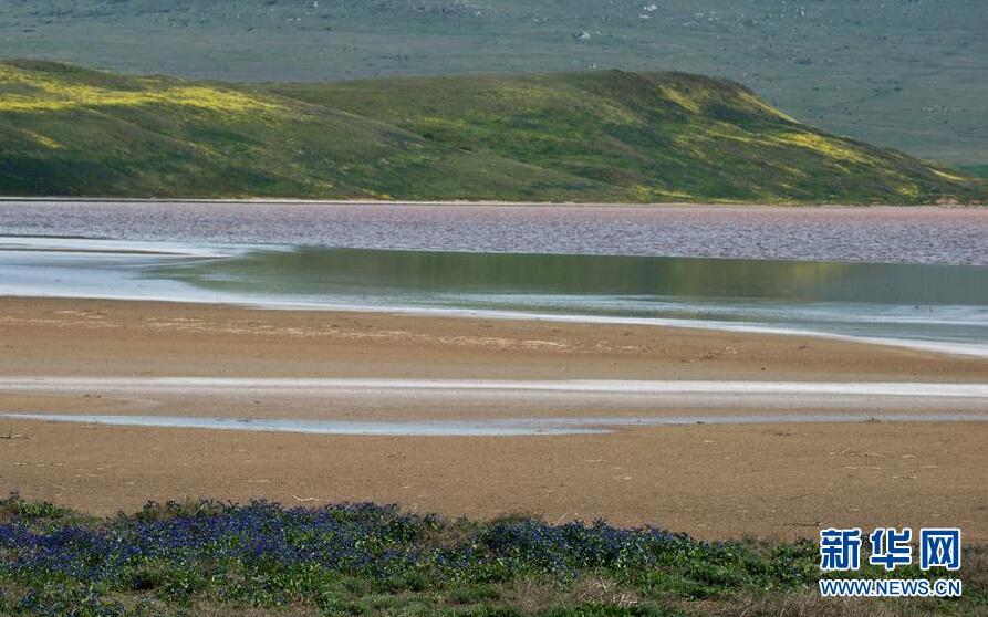 克里米亞奧普克斯基自然保護區(qū)自然風光