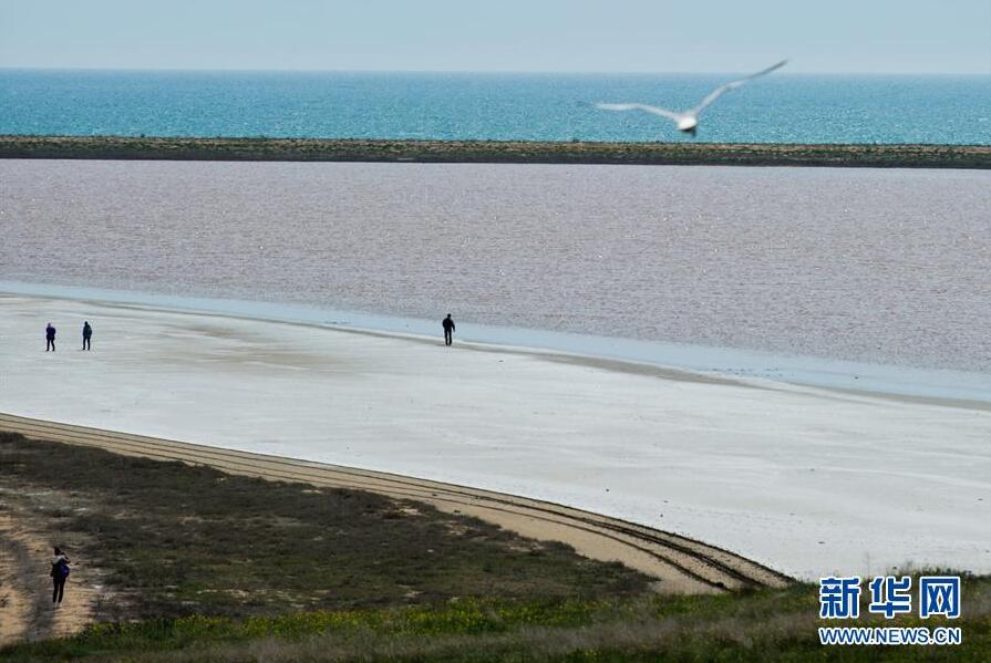 克里米亞奧普克斯基自然保護區(qū)自然風光
