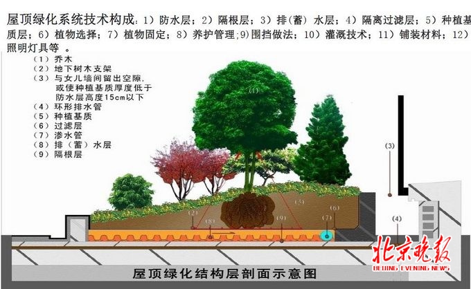 屋頂花園設(shè)計(jì)案例:天通苑一屋頂花園