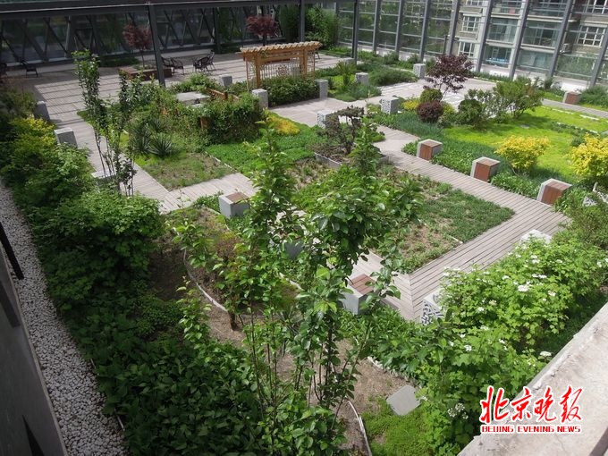 屋頂花園設(shè)計(jì)案例:天通苑一屋頂花園