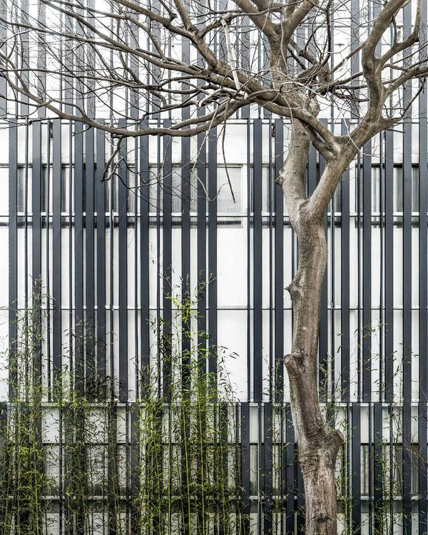 現代建筑與古典園林的結合