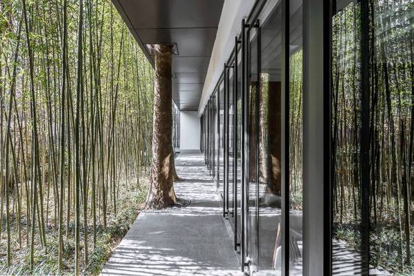 現代建筑與古典園林的結合